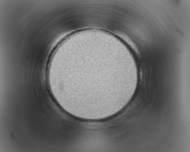 X0000116060972200912312308