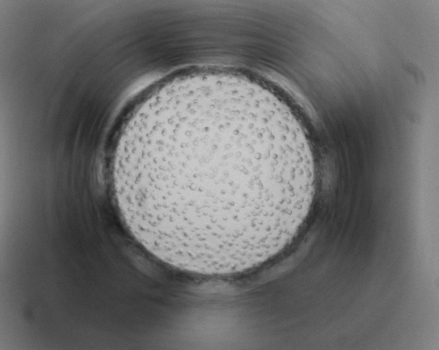 X0000116060974200912312308