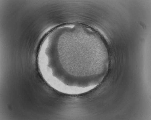 X0000116060975200912312308