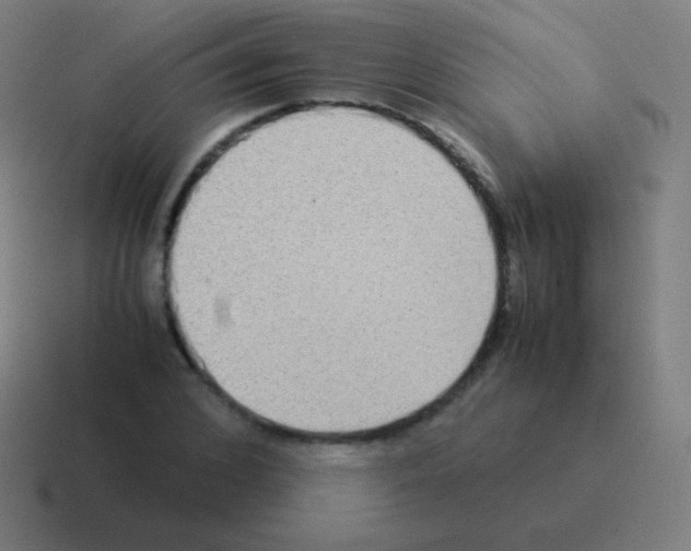 X0000116060976200912312308