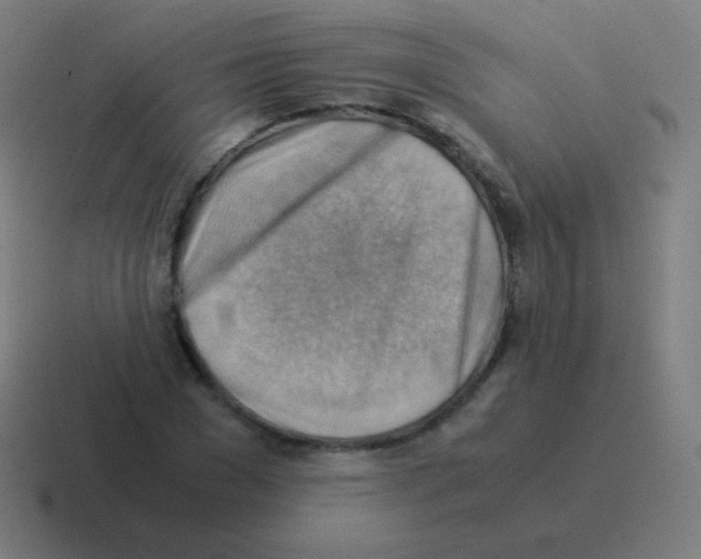 X0000116060977200912312308