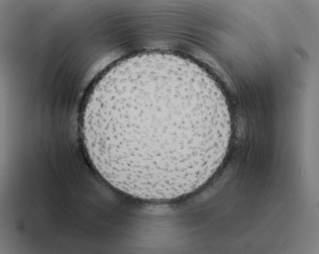 X0000116060978200912312308