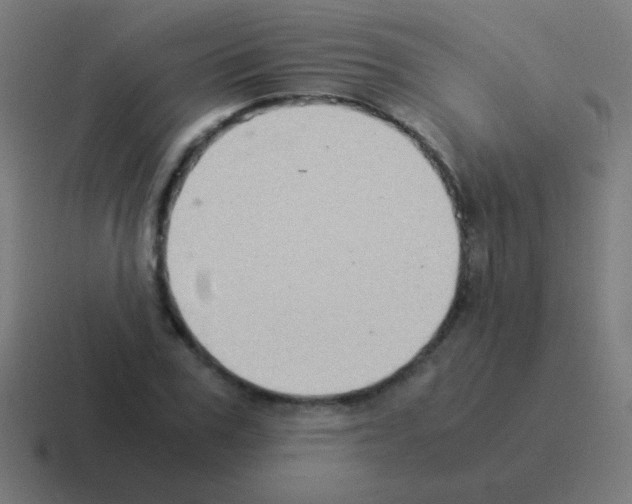 X0000116060979200912312308