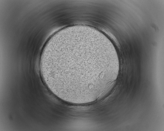X0000116060984200912312308