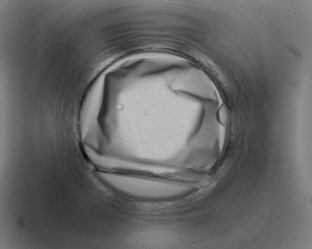 X0000116060985200912312308