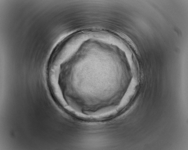 X0000116060989200912312308
