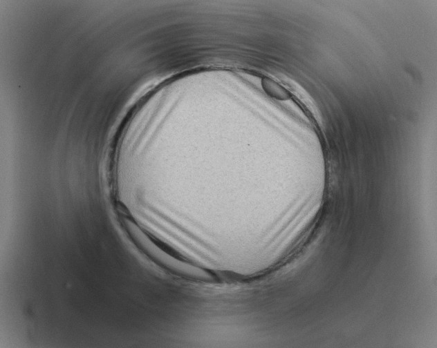 X0000116060997200912312308