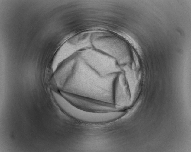 X0000116061001200912312308