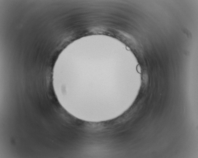 X0000116061012200912312307