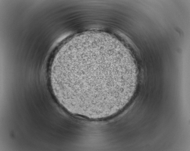 X0000116061018200912312307