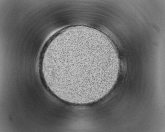 X0000116061020200912312307