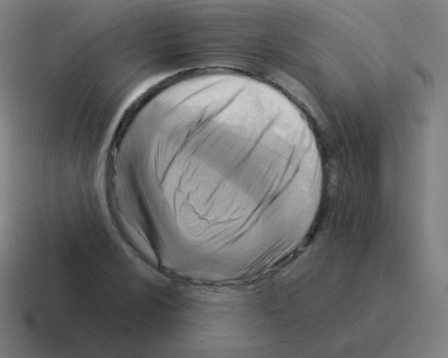 X0000116061024200912312307