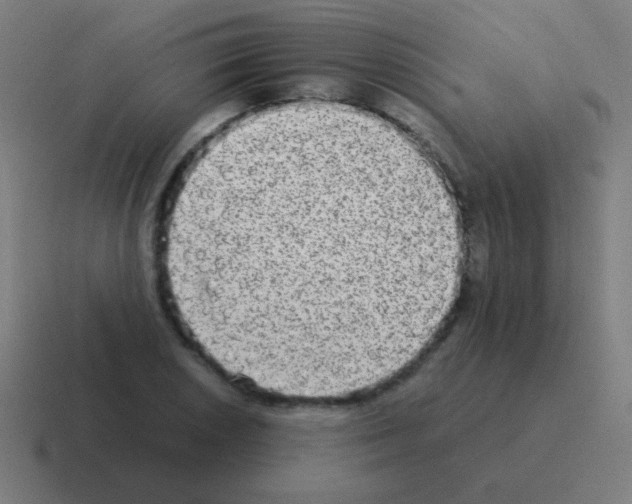 X0000116061026200912312307