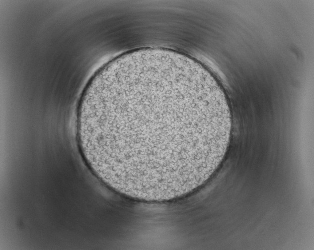 X0000116061040200912312308