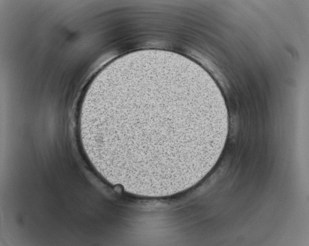 X0000116061042200912312308
