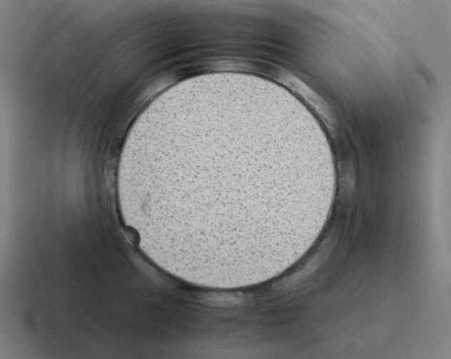 X0000116061049200912312308