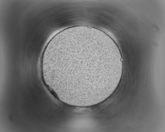 X0000116061056200912312308