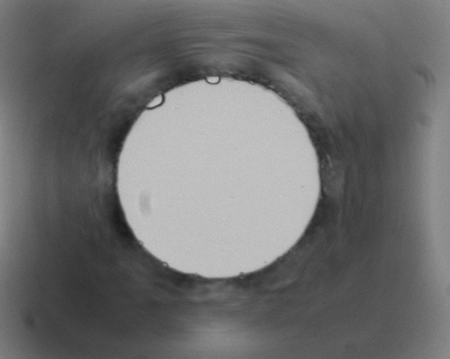 X0000116061061200912312307
