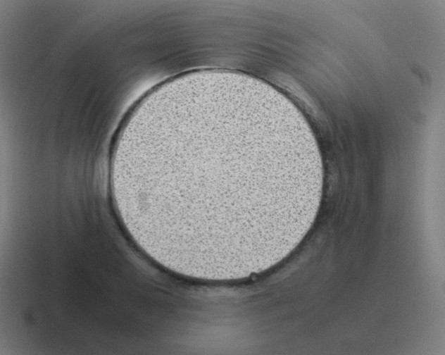 X0000116061079200912312307