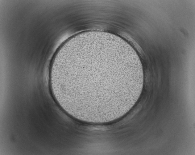 X0000116061083200912312307