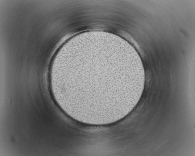 X0000116061091200912312307