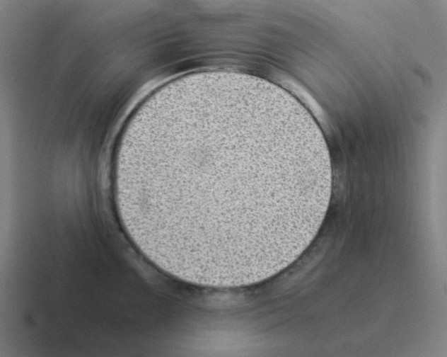 X0000116061099200912312307