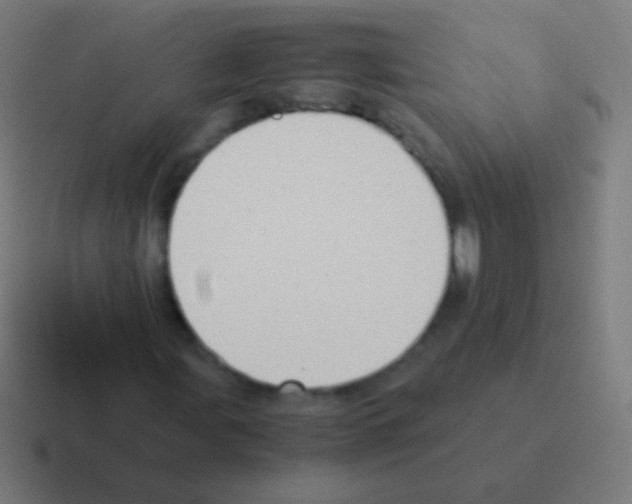 X0000116061107200912312306