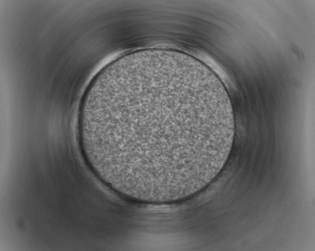 X0000116061142200912312306