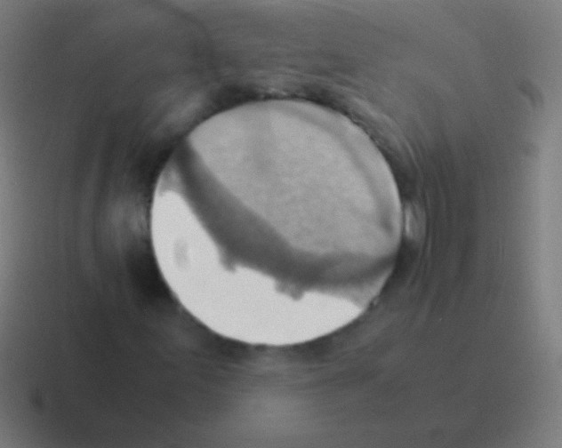 X0000116061155200912312306