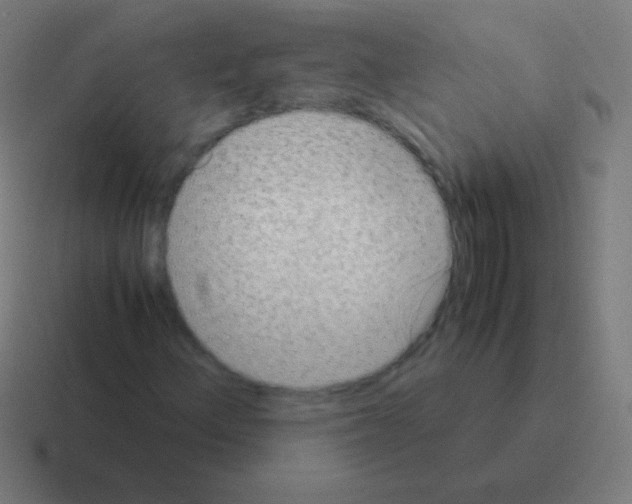 X0000116061156200912312306