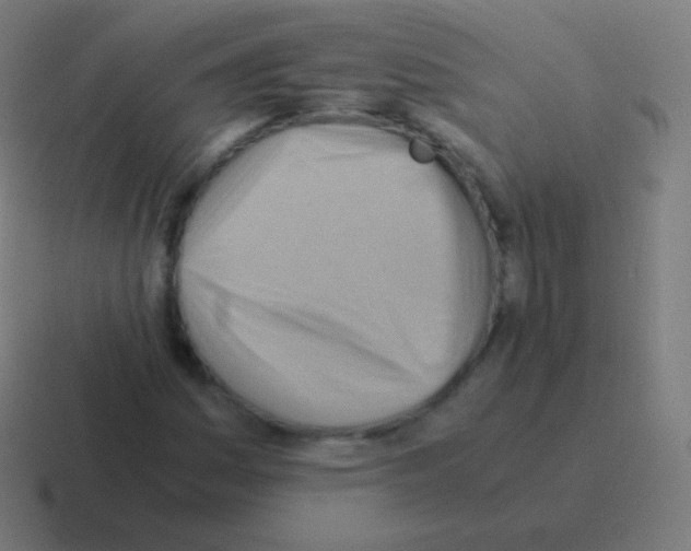X0000116061161200912312306