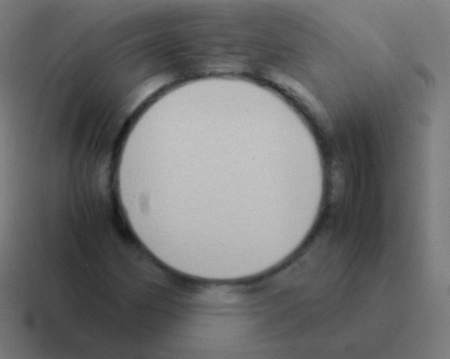 X0000116061162200912312306