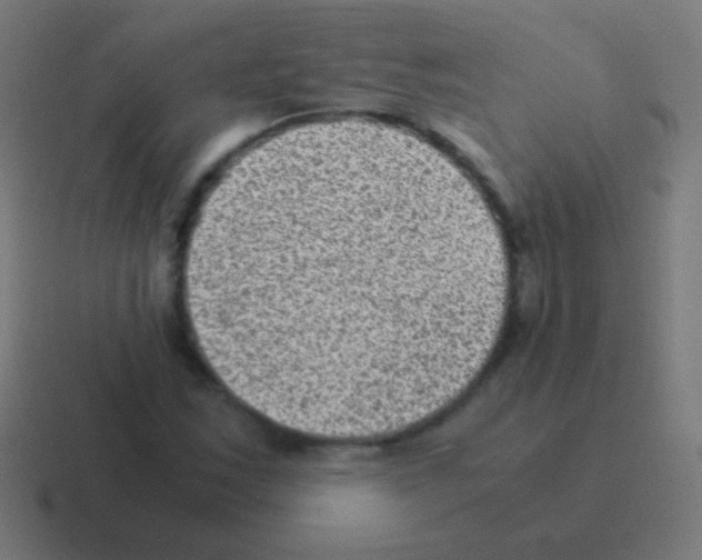 X0000116061163200912312306