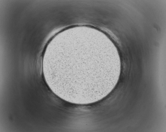X0000116061175200912312306