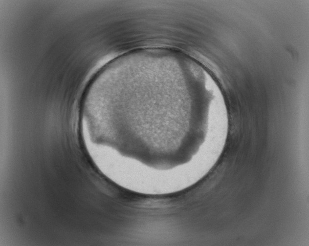 X0000116061179200912312306
