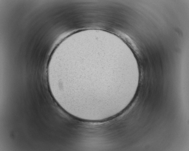 X0000116061184200912312306