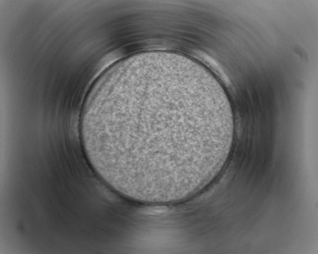 X0000116061186200912312305