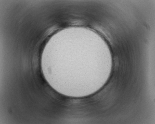 X0000116061211200912312305