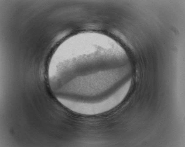 X0000116061213200912312305