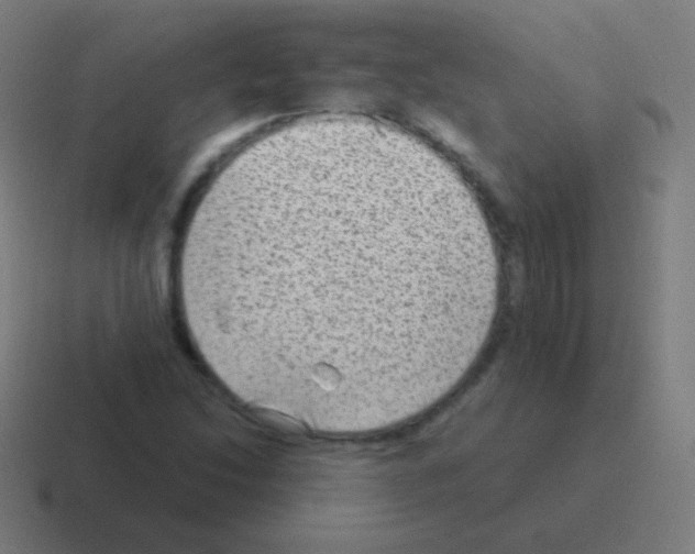 X0000116061214200912312305