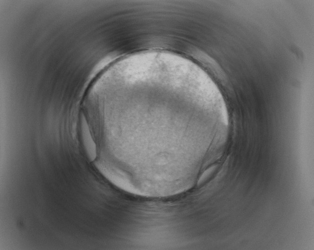 X0000116061226200912312305