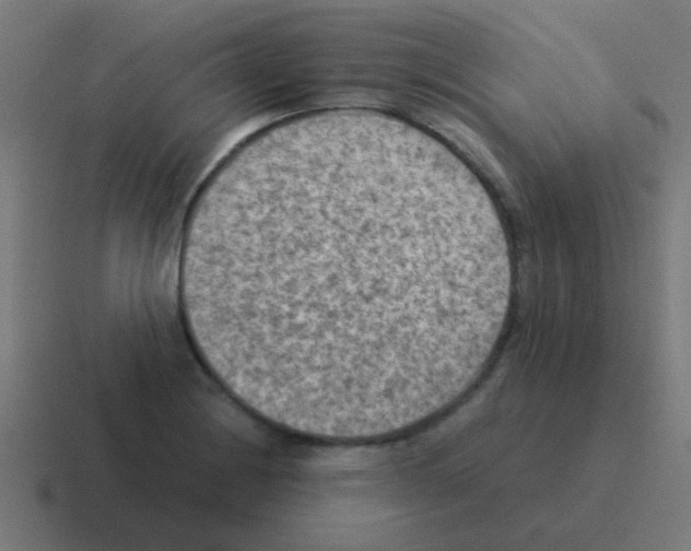 X0000116061228200912312305