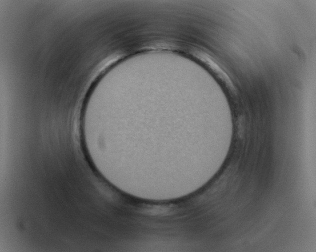 X0000116061229200912312305