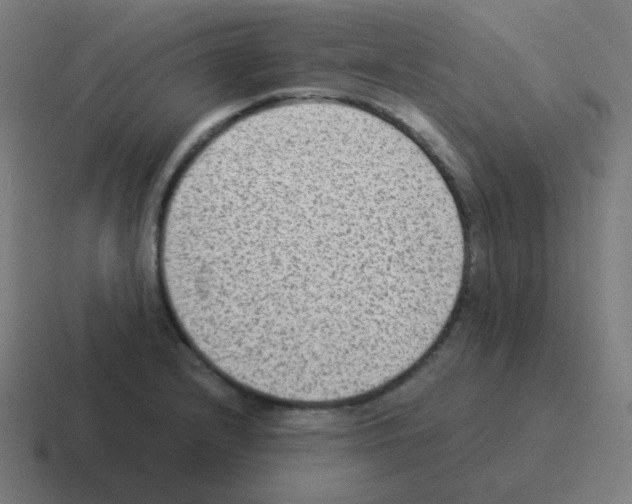 X0000116061232200912312305