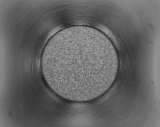 X0000116061234200912312305
