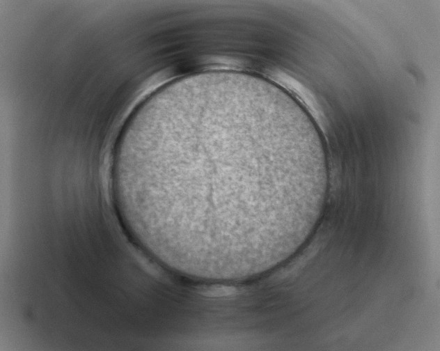 X0000116061235200912312305