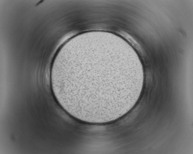 X0000116061238200912312305