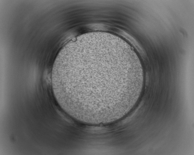 X0000116061241200912312305