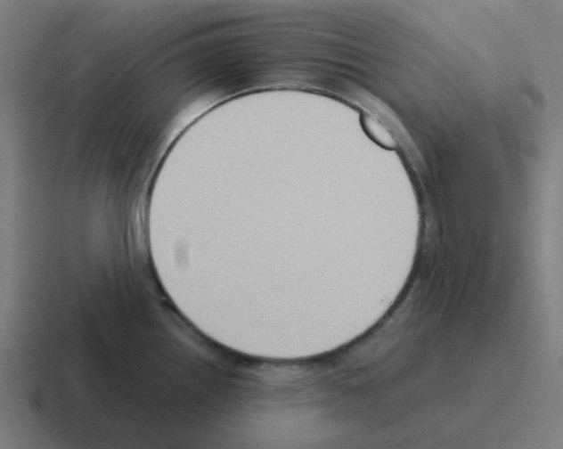 X0000116061242200912312305