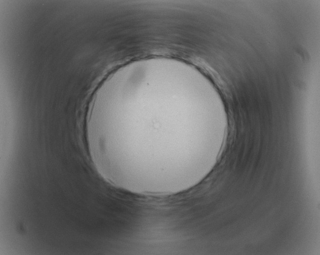 X0000116061249200912312305